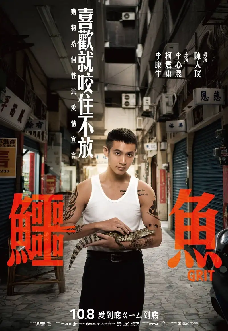 海报 - Poster - 포스터 - Áp phích - ポスター
