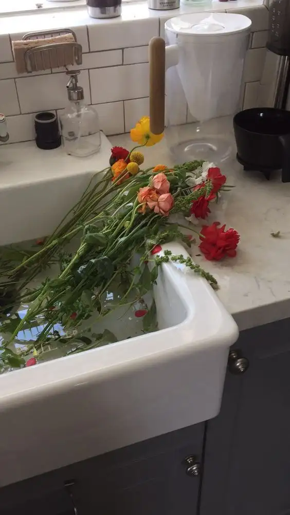 花 - Flower - 꽃 - Hoa - 花